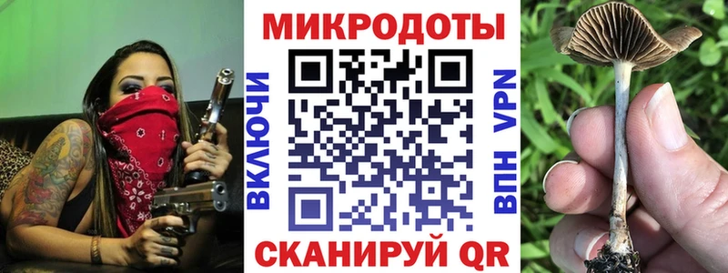 купить   Ивангород  Псилоцибиновые грибы MAGIC MUSHROOMS 