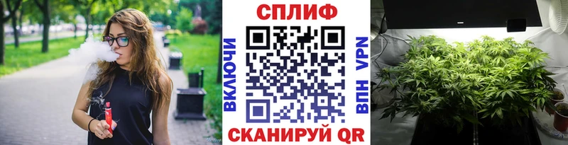 Бошки Шишки сатива Ивангород